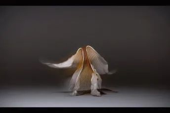 图片 图片
