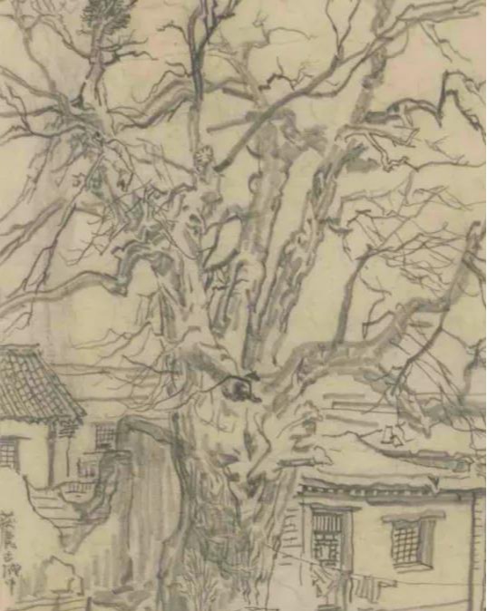 20201130zhangding1.jpg