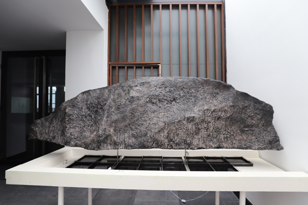 20190612yangyunhao.jpg