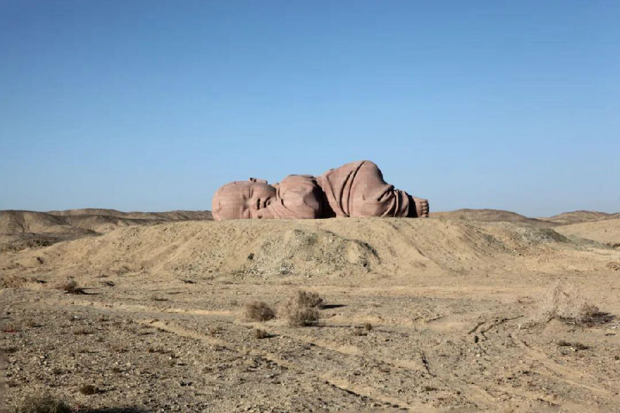 20200424dongshubin3.jpg